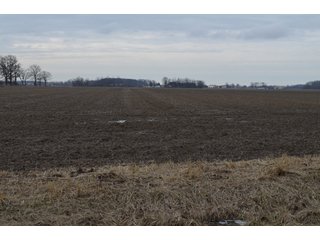 Property photo 38 - 173 +/- Acres Offered in 3 Tracts - Ohio Farmland